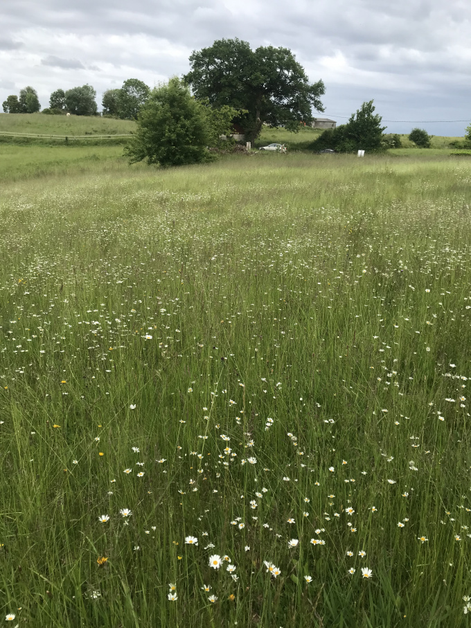 Offres de vente Terrain à batir Salies-de-Béarn (64270)