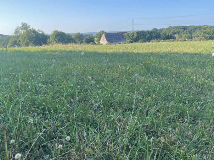 Offres de vente Terrain à batir Bonnut (64300)